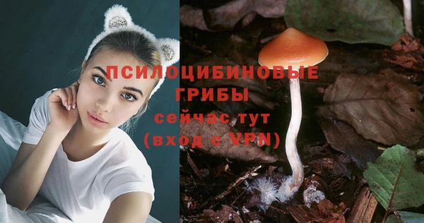 ГАЛЛЮЦИНОГЕННЫЕ ГРИБЫ Балабаново